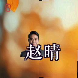 赵晴